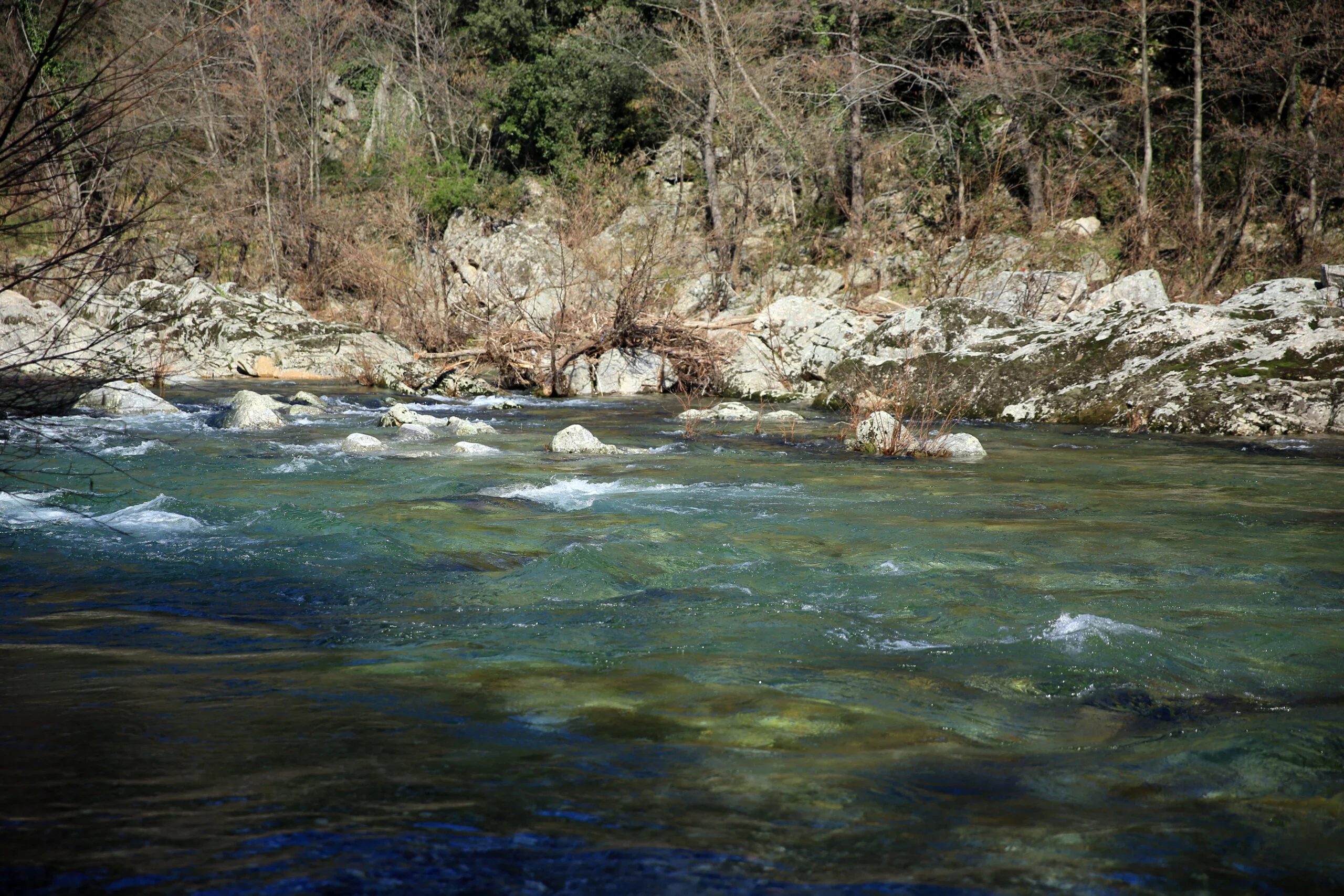 Rivière française